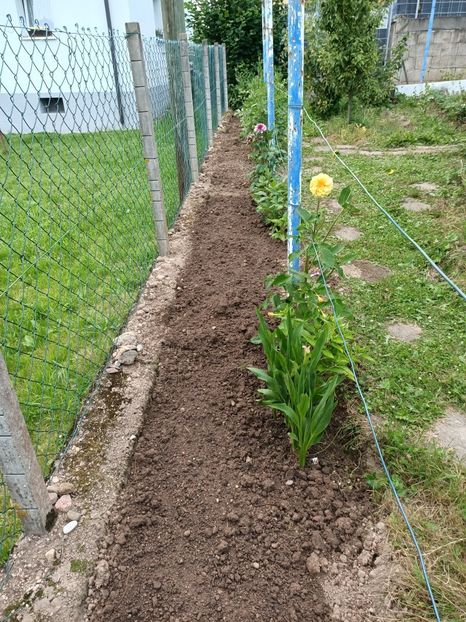 Img.2024.07.20 - A doua grădină 2