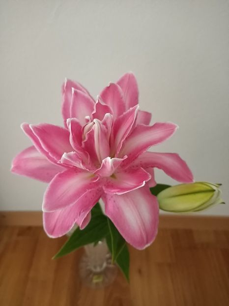 Img.2024.07.22 - A doua grădină 2