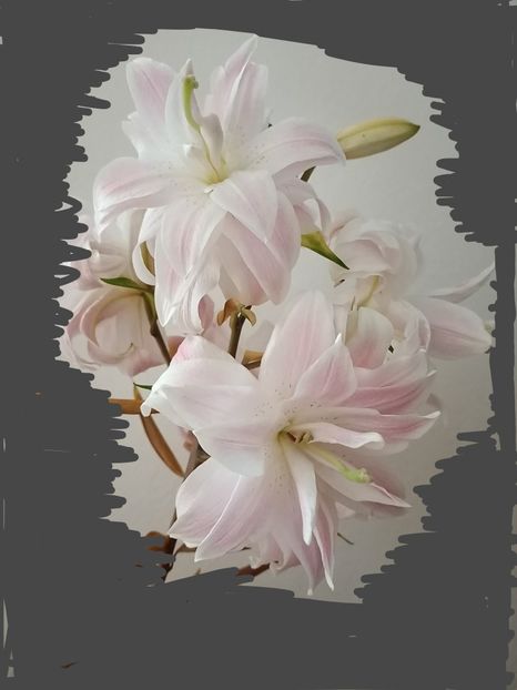  - A doua grădină 2