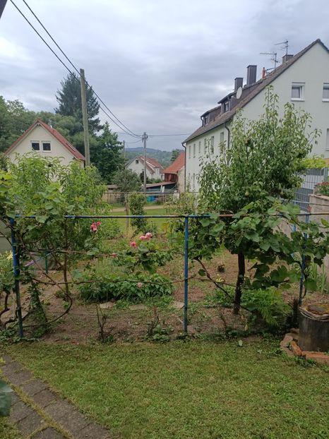 Img.2024.07.27 - A doua grădină 2