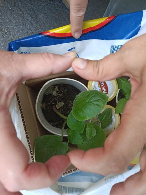 Img.2024.08.15 ❤️ întâlnire cu prietenii - A doua grădină 2