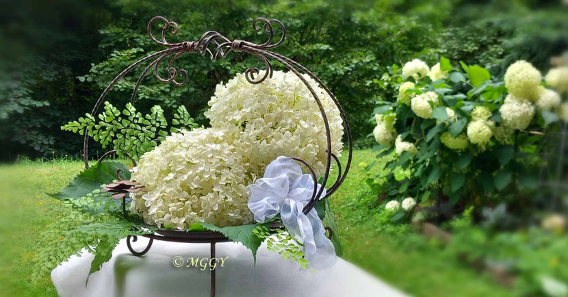 © - 01 - Floristica