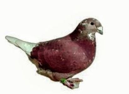 Screenshot_20241222-194130~6 - 00000altceva