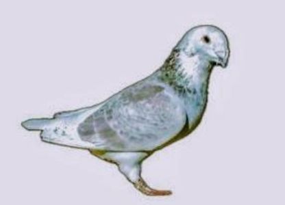 Screenshot_20241222-194121~3 - 00000altceva