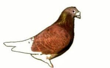 Screenshot_20241222-194114~6 - 00000altceva