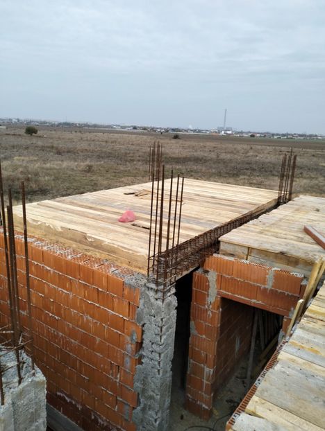 IMG20241030155906 - Constructie 01