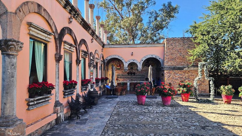 TEQUILA House Bar - --- MEXICO