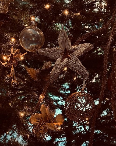  - Alexia la munte romania 2024