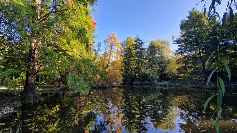  - 2024 Gradina botanica din Bratislava