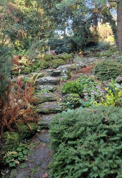  - 2024 Gradina botanica din Bratislava