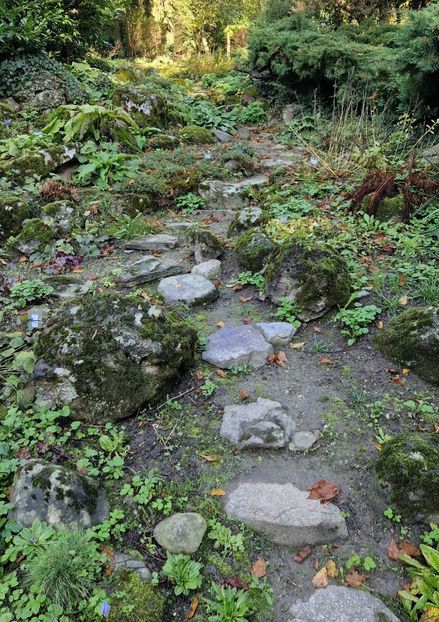  - 2024 Gradina botanica din Bratislava