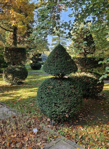  - 2024 Gradina botanica din Bratislava