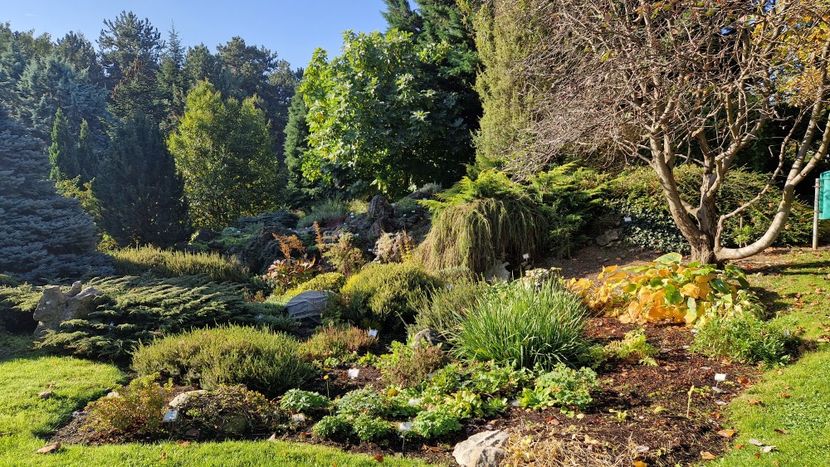  - 2024 Gradina botanica din Bratislava