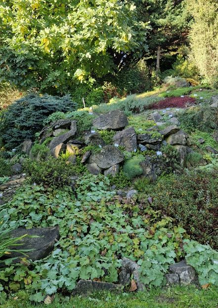  - 2024 Gradina botanica din Bratislava