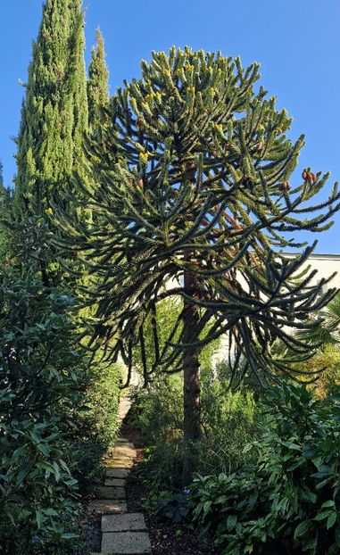  - 2024 Gradina botanica din Bratislava