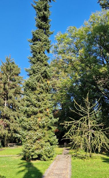  - 2024 Gradina botanica din Bratislava