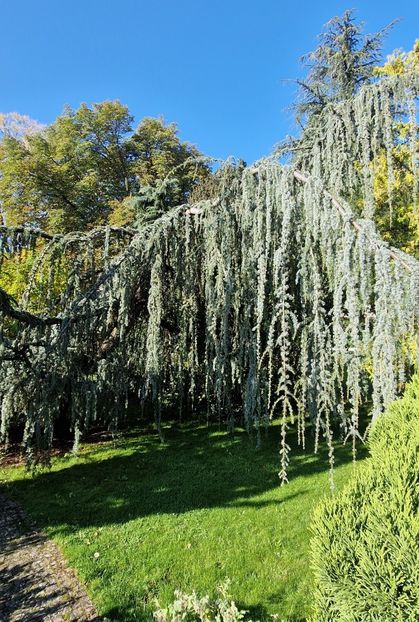  - 2024 Gradina botanica din Bratislava