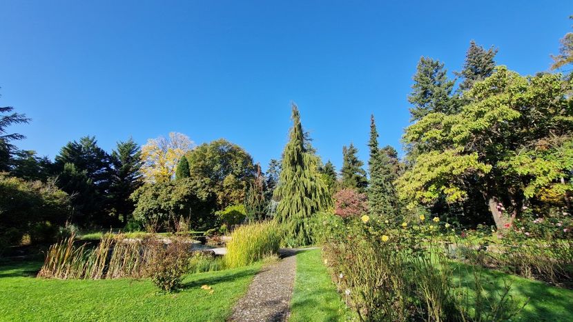  - 2024 Gradina botanica din Bratislava