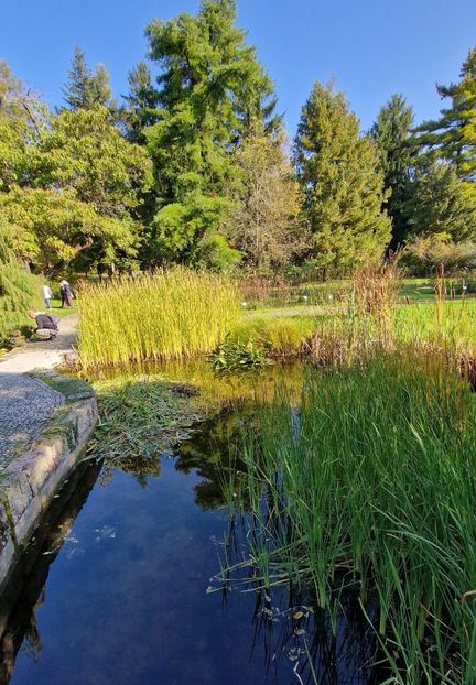  - 2024 Gradina botanica din Bratislava