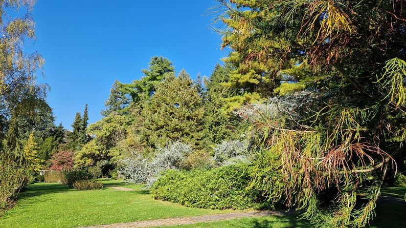  - 2024 Gradina botanica din Bratislava