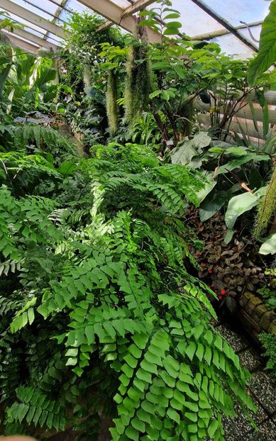  - 2024 Gradina botanica din Bratislava