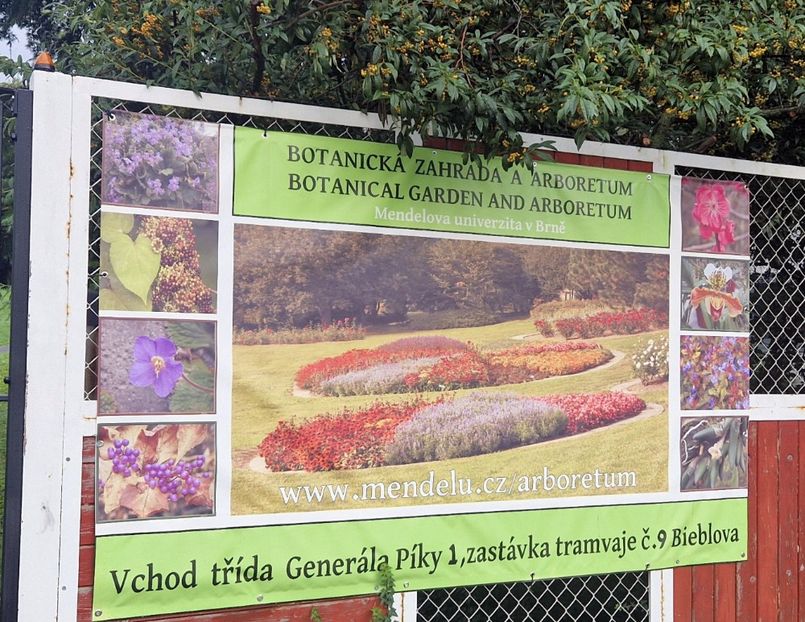  - 2024 Gradina botanica din Brno - Cehia