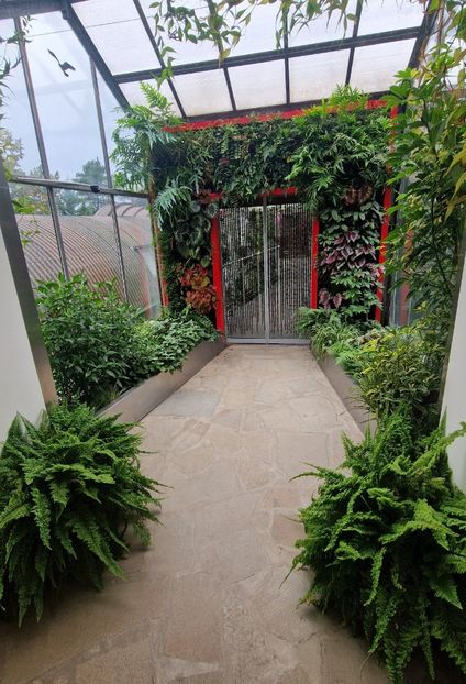  - 2024 Gradina botanica din Brno - Cehia