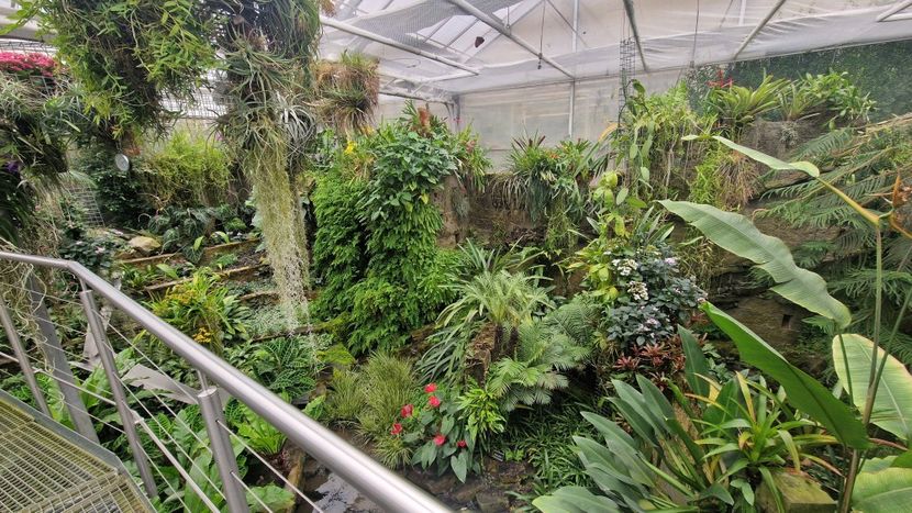  - 2024 Gradina botanica din Brno - Cehia