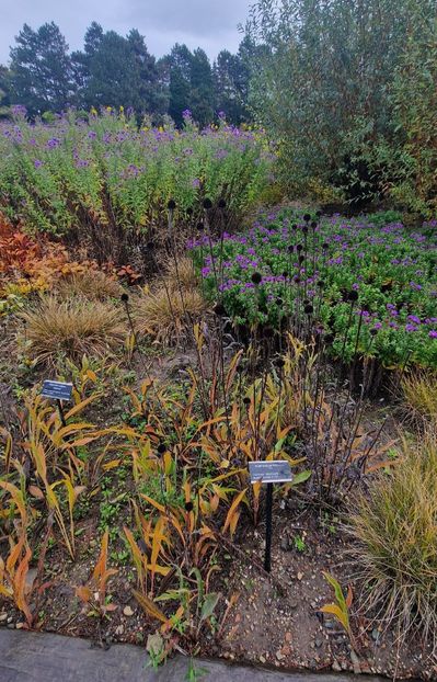  - 2024 Gradina botanica din Brno - Cehia