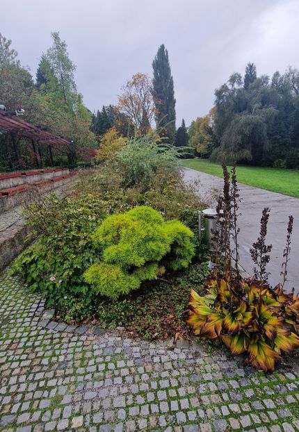  - 2024 Gradina botanica din Brno - Cehia