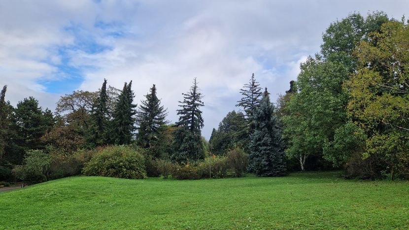  - 2024 Gradina botanica din Brno - Cehia