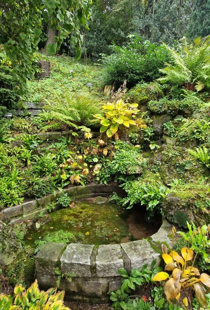  - 2024 Gradina botanica din Brno - Cehia