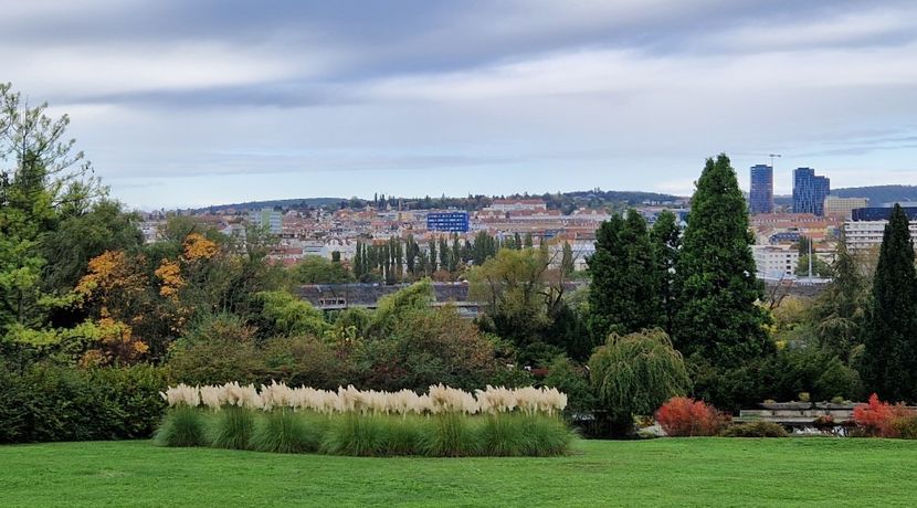  - 2024 Gradina botanica din Brno - Cehia