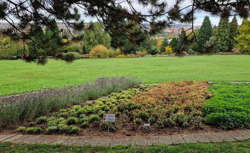  - 2024 Gradina botanica din Brno - Cehia