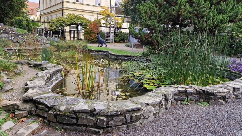  - 2024 Gradina botanica din Brno - Cehia