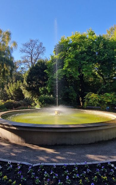  - 2024 Gradina Botanica din Cracovia