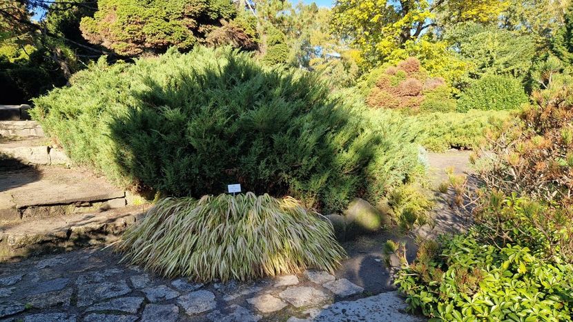  - 2024 Gradina Botanica din Cracovia