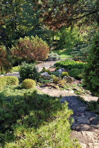  - 2024 Gradina Botanica din Cracovia