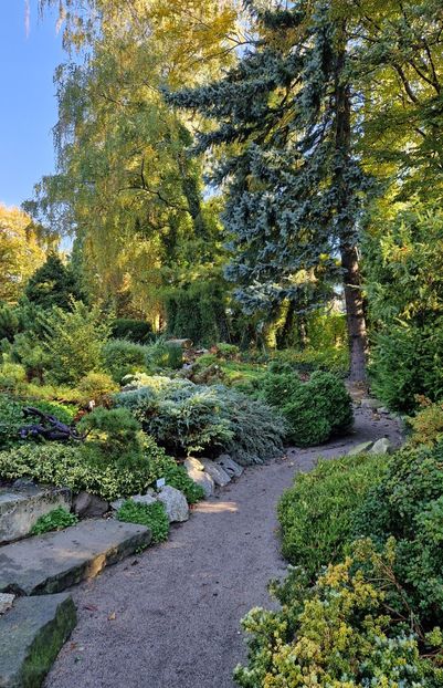  - 2024 Gradina Botanica din Cracovia