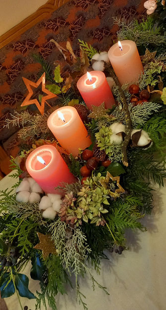 © - 2024 - 04 - 2025 - 00 - Iarna