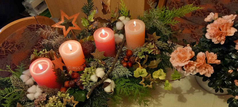 © - 2024 - 04 - 2025 - 00 - Iarna