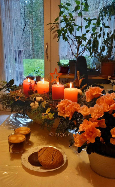 © - 2024 - 04 - 2025 - 00 - Iarna