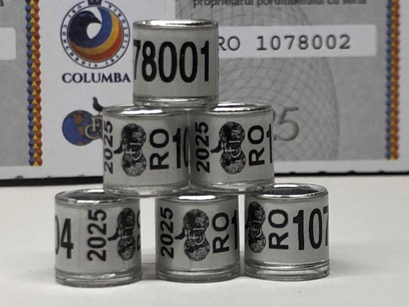  - 0 Inele Porumbei Voiajori FCI 2025