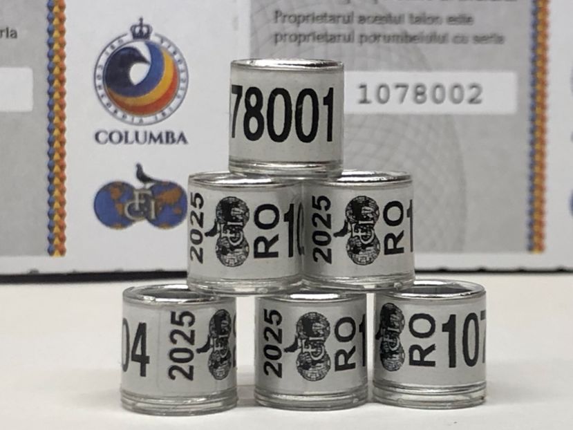  - 0 Inele Porumbei Voiajori FCI 2025