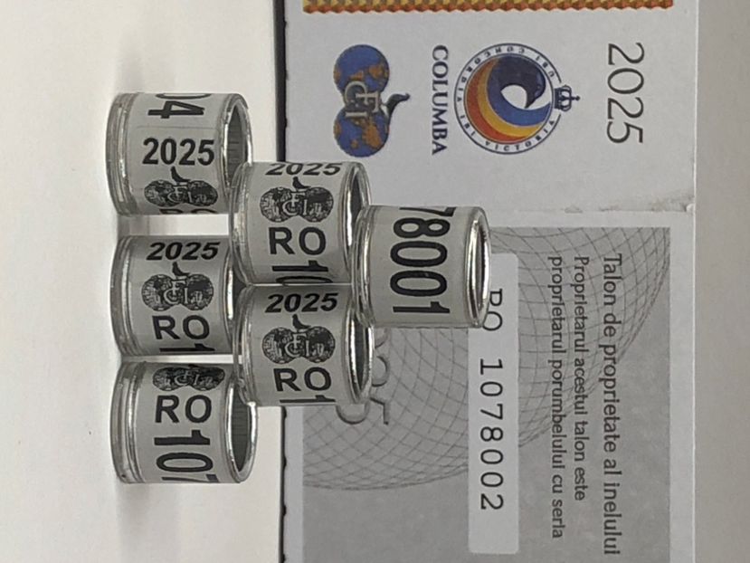  - 0 Inele Porumbei Voiajori FCI 2025