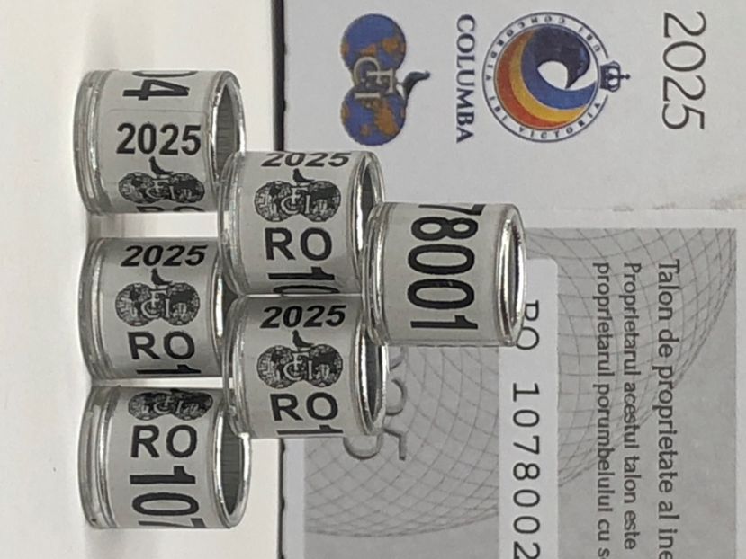  - 0 Inele Porumbei Voiajori FCI 2025