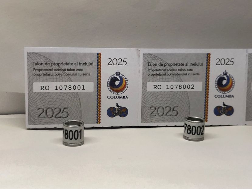  - 0 Inele Porumbei Voiajori FCI 2025