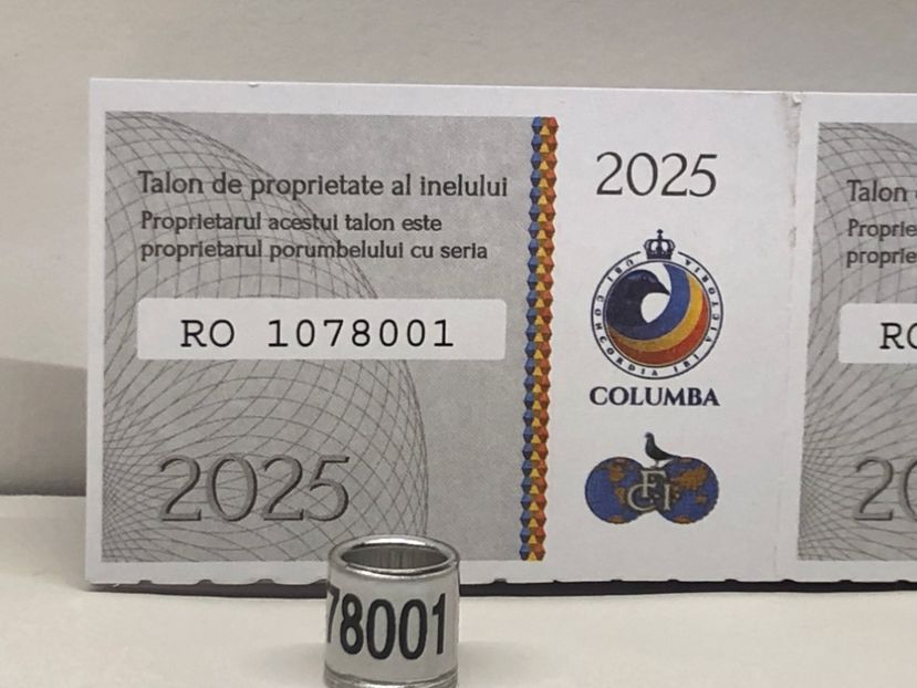  - 0 Inele Porumbei Voiajori FCI 2025