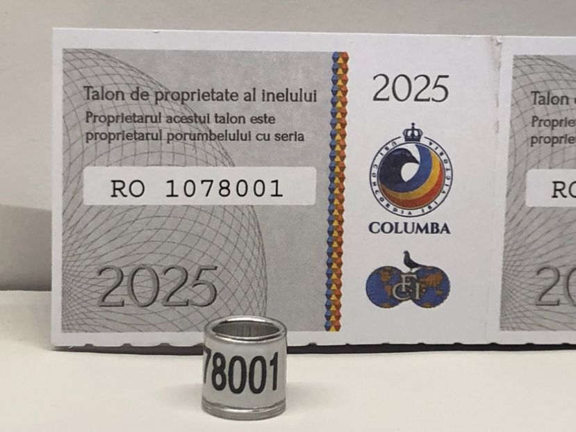  - 0 Inele Porumbei Voiajori FCI 2025