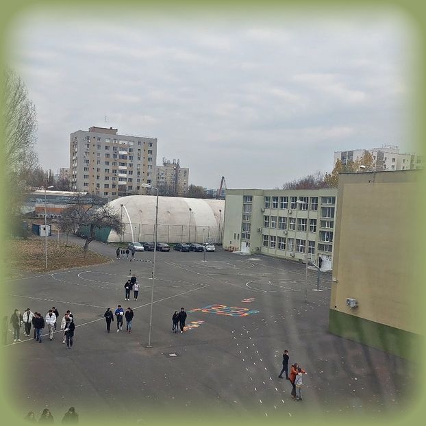 ♡ Day 40 ; 24.12.2024 - Birds of a Feather - STREAK